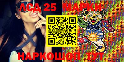 индика Гусиноозёрск
