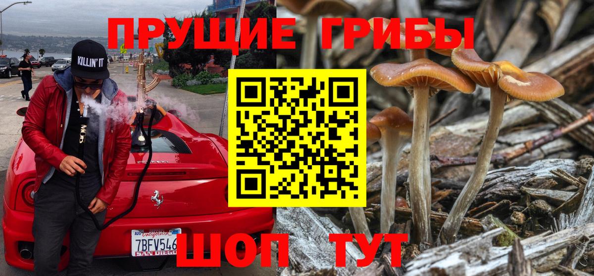 Псилоцибиновые грибы мухоморы  Псилоцибиновые грибы ЛСД  Нягань  Вход с VPN 