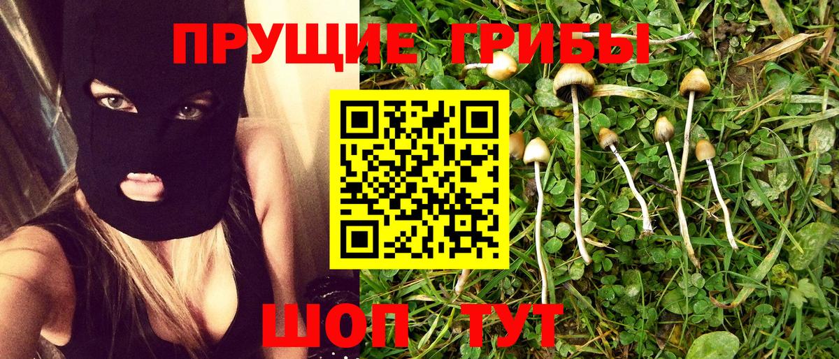Галлюциногенные грибы мицелий Нягань